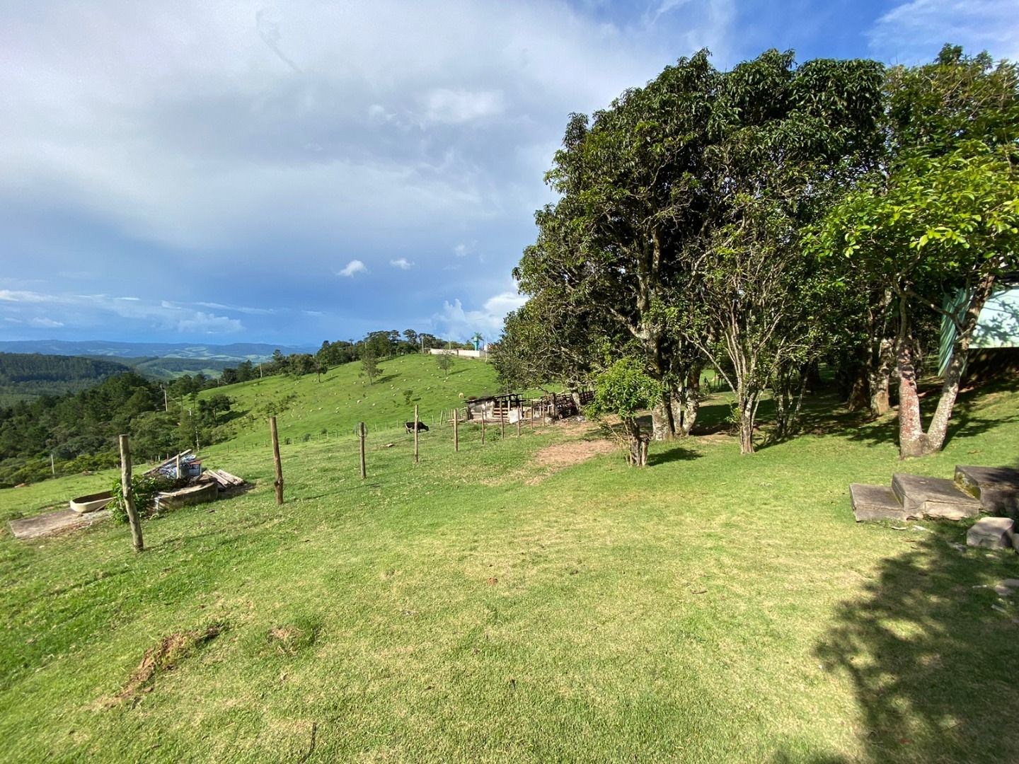 Fazenda, 3 hectares - Foto 10