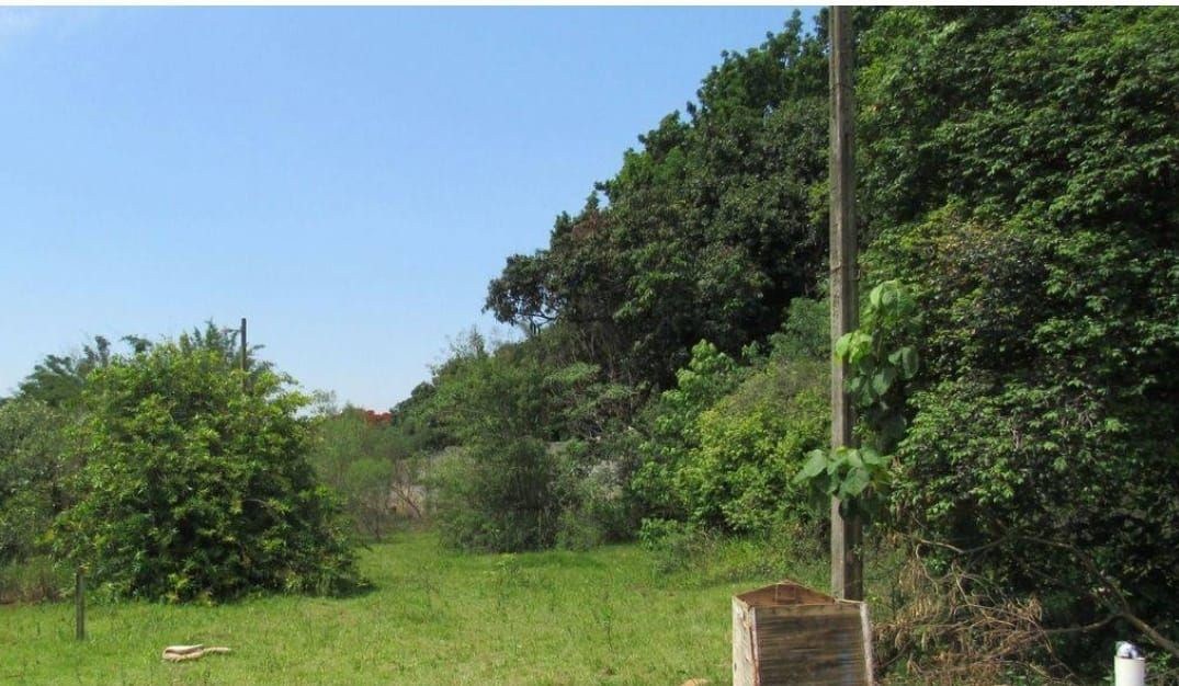 Terreno, 5000 m² - Foto 7
