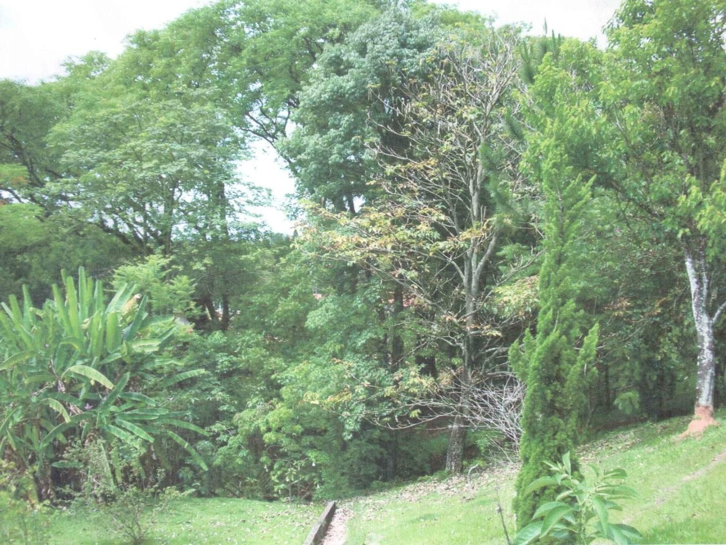 Sítio, 4 quartos, 4 hectares - Foto 6