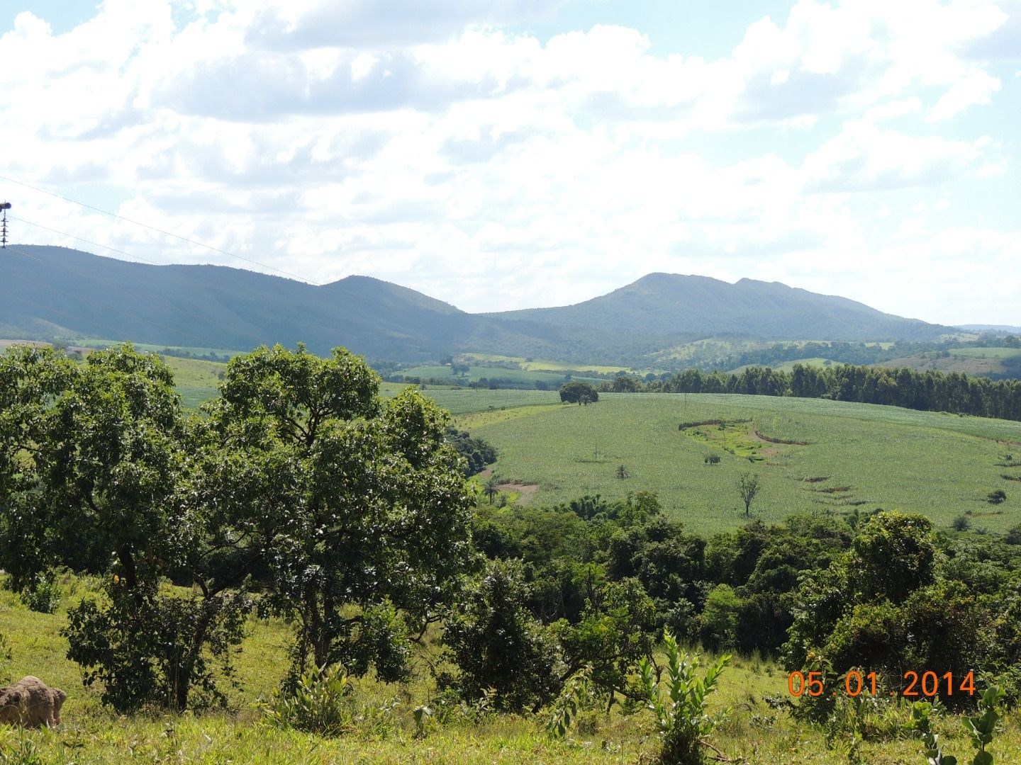 Fazenda, 28 hectares - Foto 3