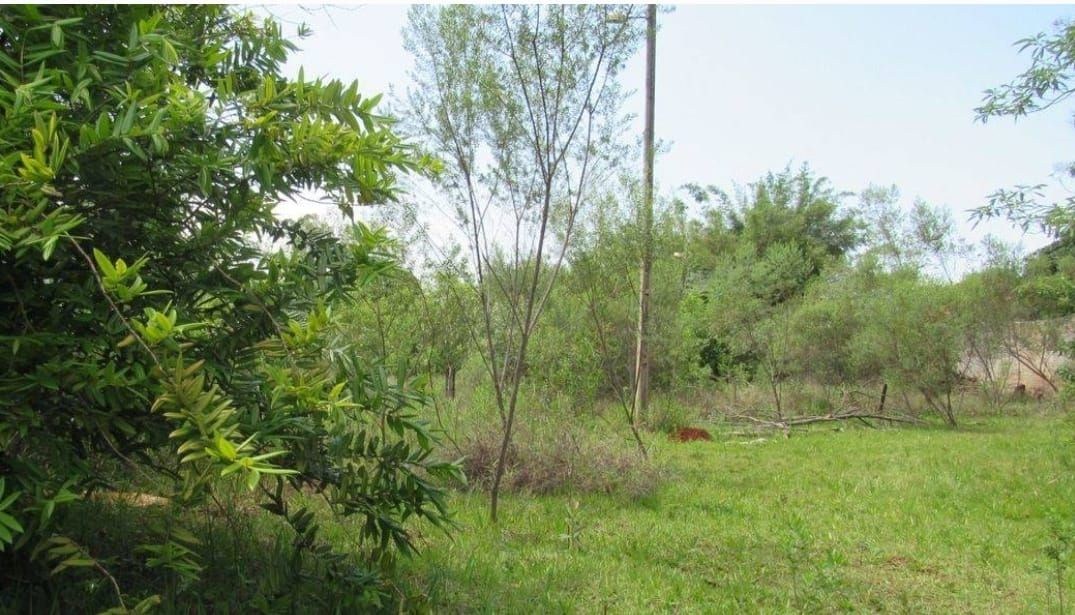 Terreno, 5000 m² - Foto 5