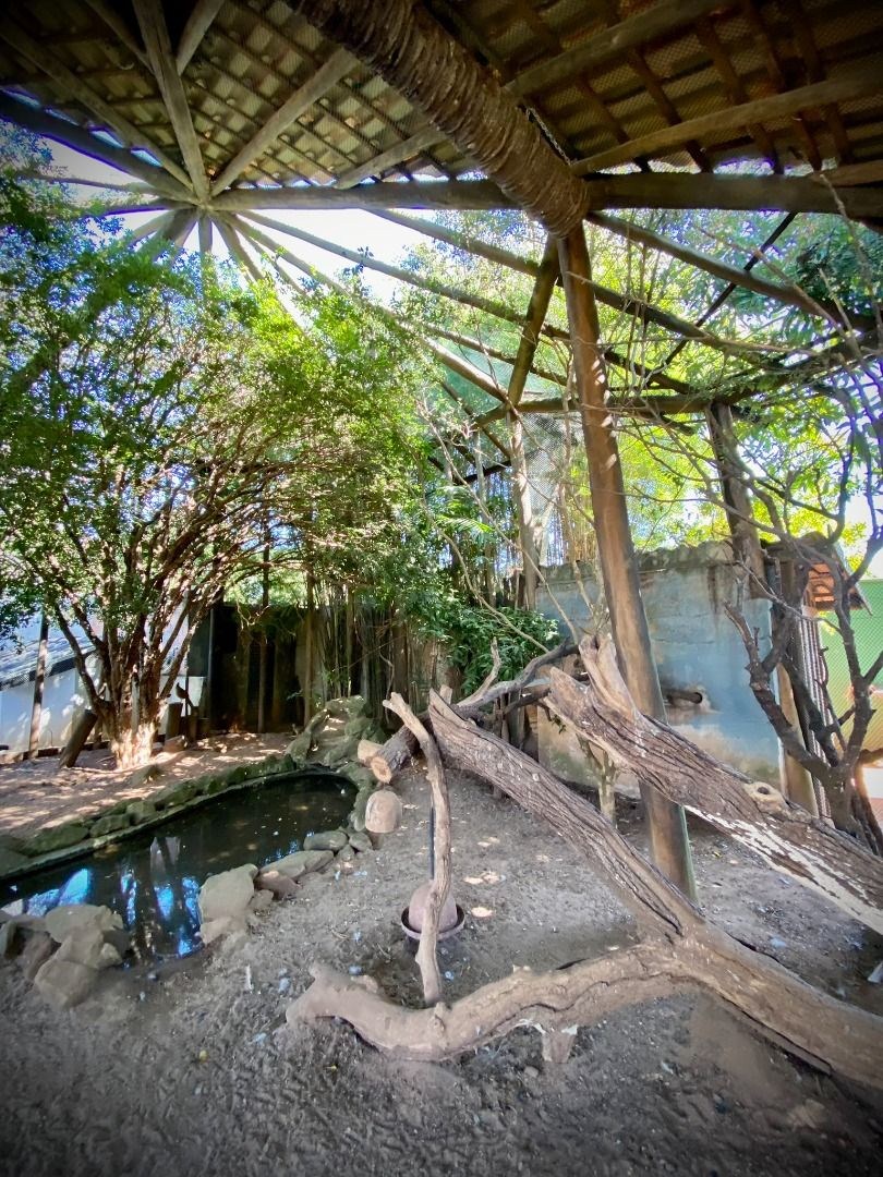 Sítio, 6 quartos, 2000 m² - Foto 46