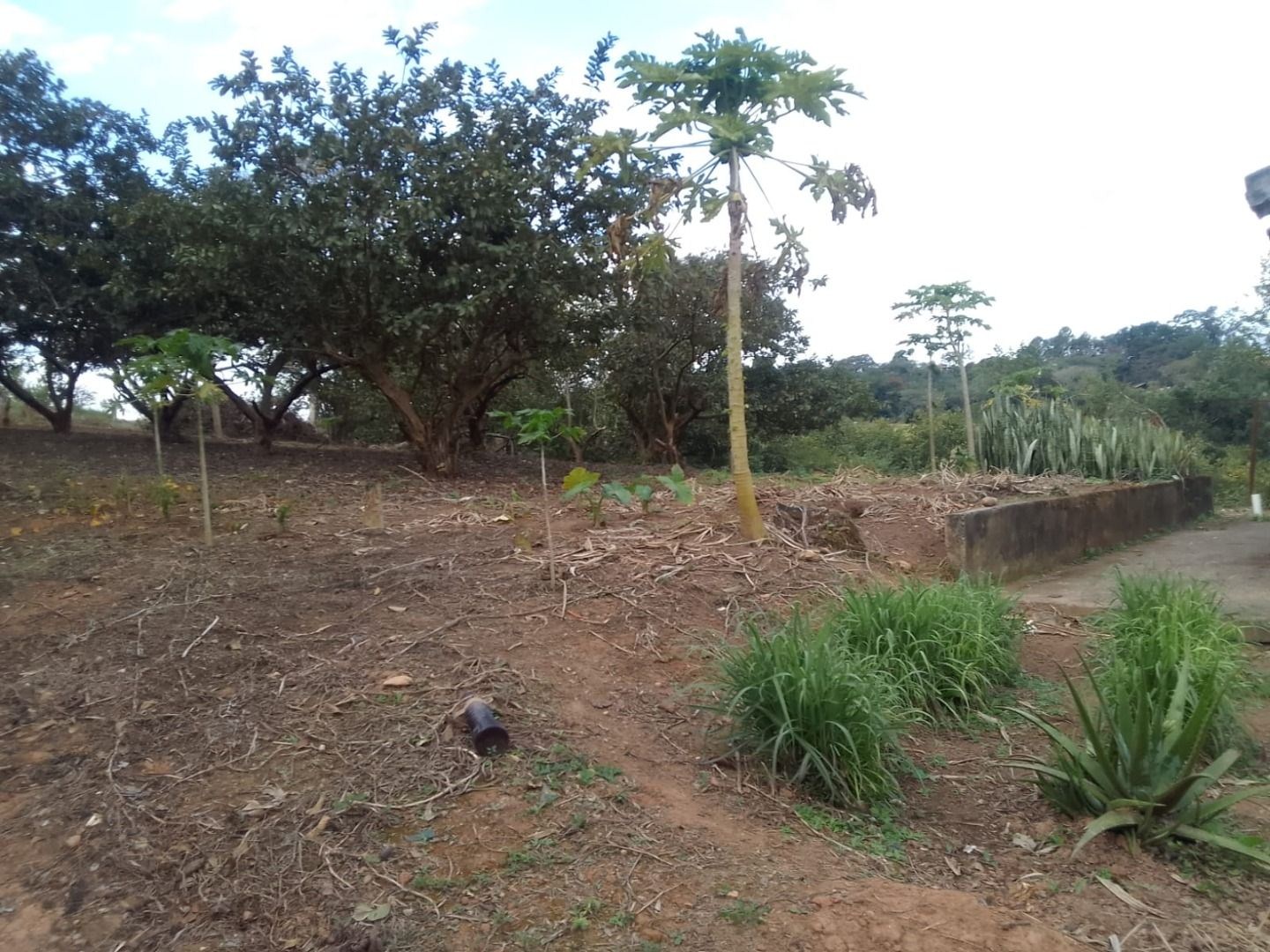 Sítio, 2 quartos, 3 hectares - Foto 3