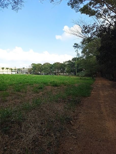 Loteamento e Condomínio, 5195 m² - Foto 5