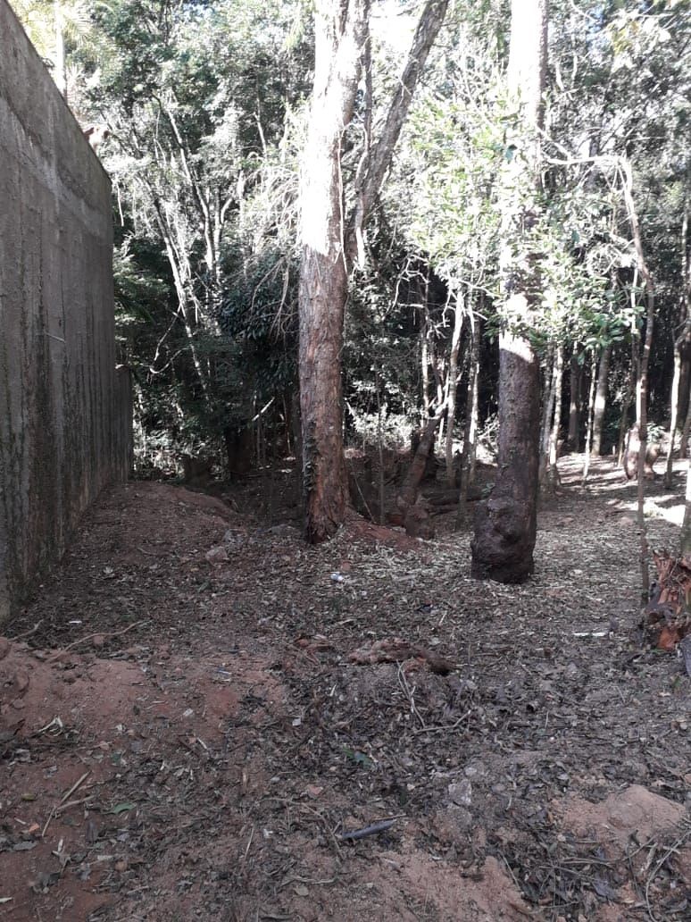 Terreno, 1000 m² - Foto 3