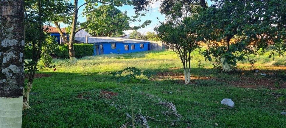 Sítio, 4 quartos, 4000 m² - Foto 8