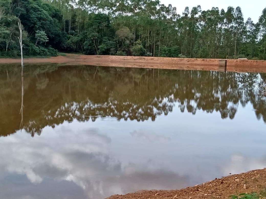 Fazenda, 122 hectares - Foto 7