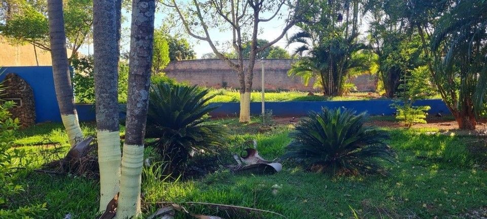 Sítio, 4 quartos, 4000 m² - Foto 7