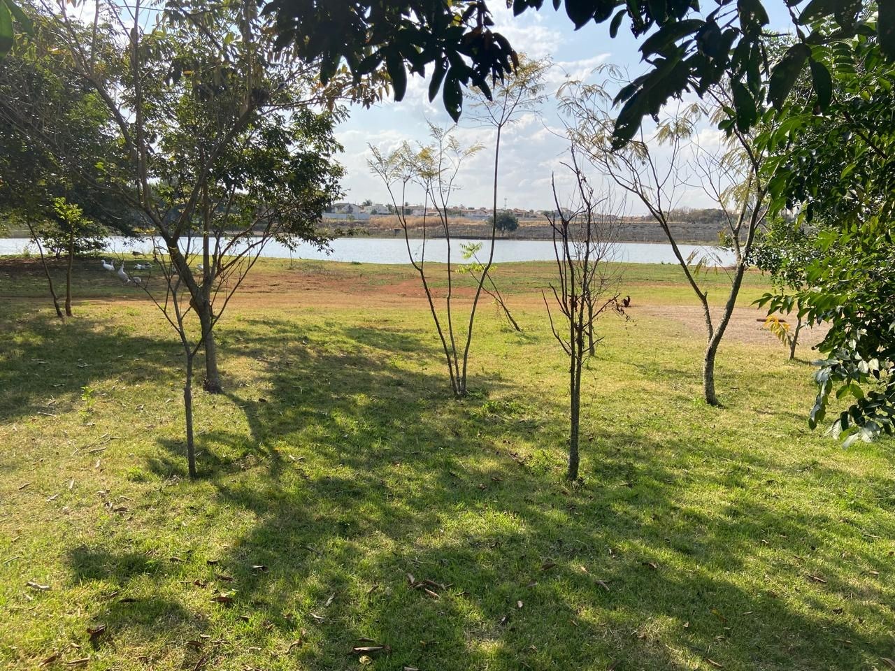 Terreno, 300 m² - Foto 17
