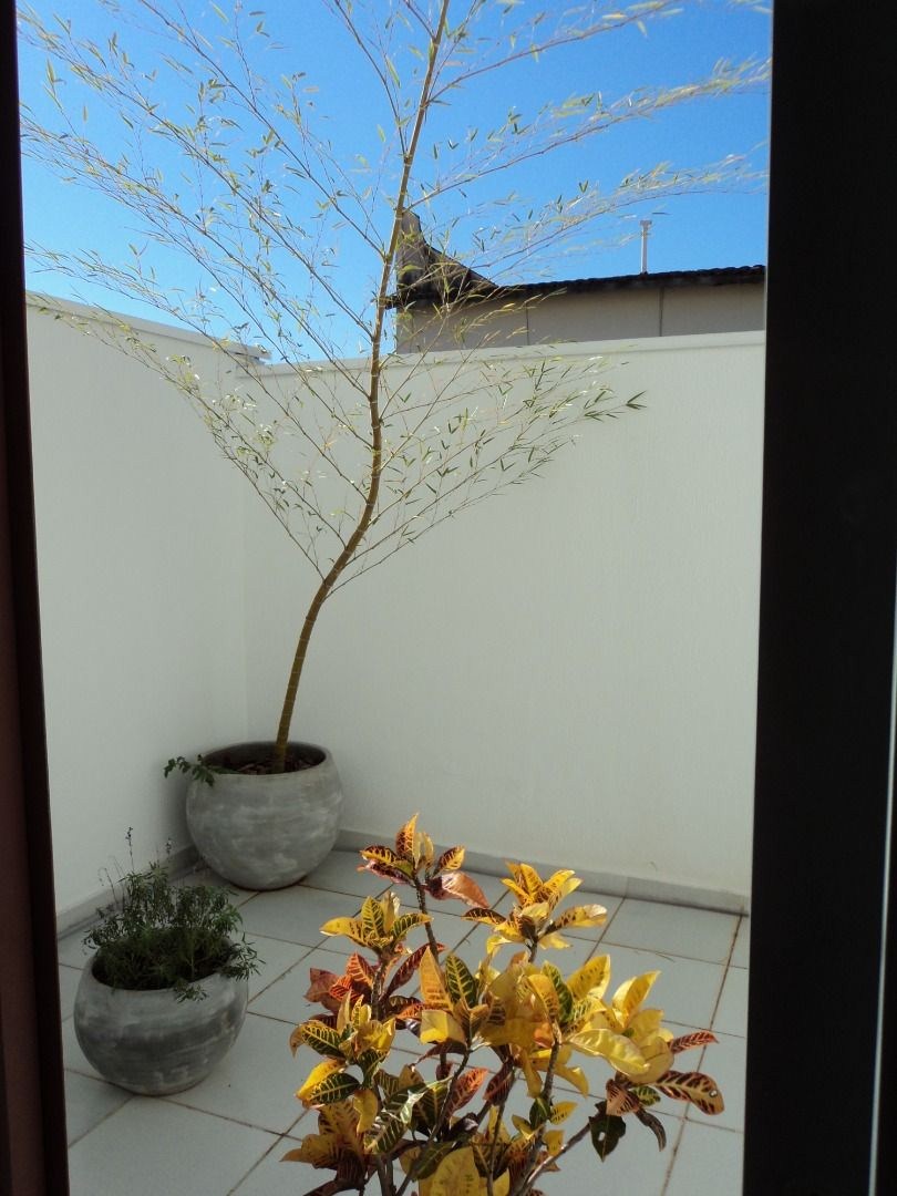 Sala-Conjunto - Foto 11