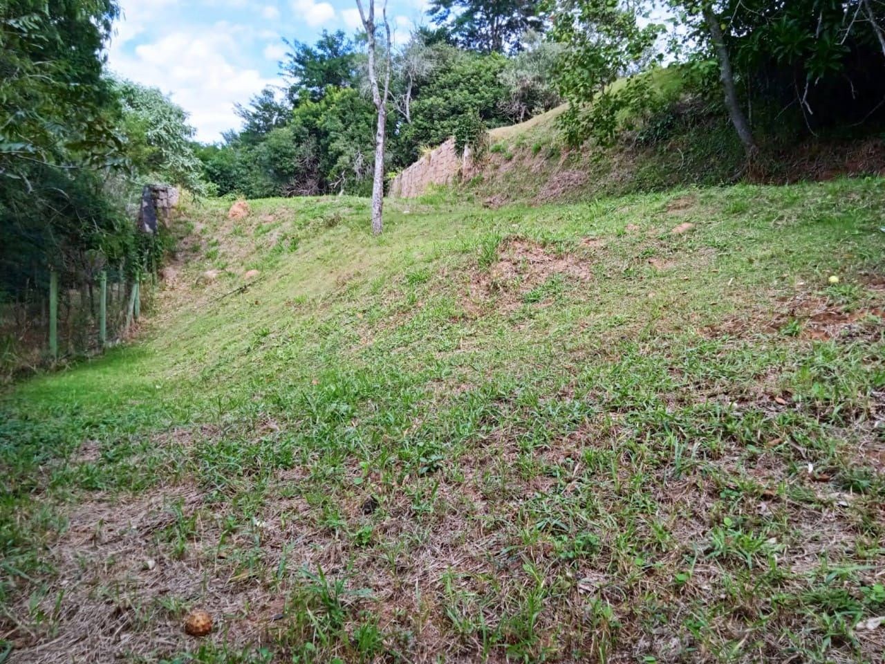 Terreno, 1736 m² - Foto 9