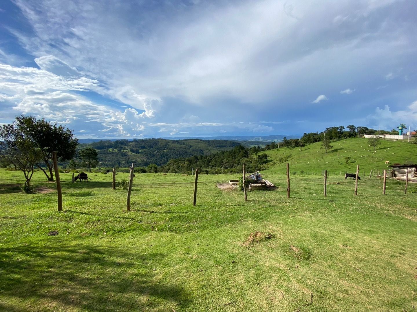 Fazenda, 3 hectares - Foto 8