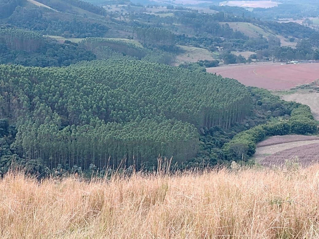 Fazenda, 122 hectares - Foto 16