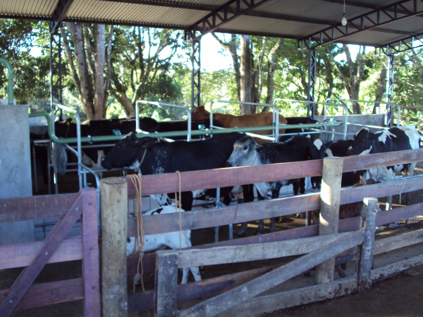 Fazenda, 28 hectares - Foto 64