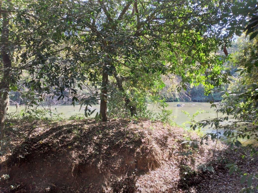Terreno, 2 hectares - Foto 2