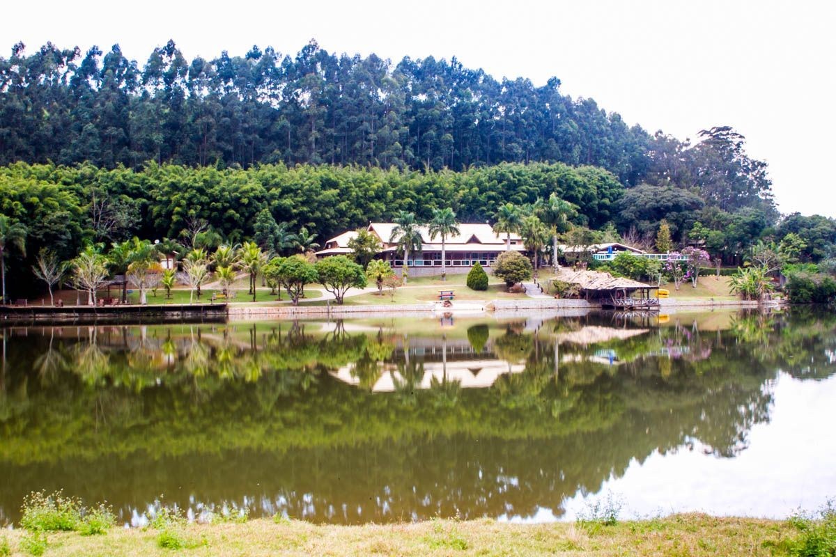 Sítio, 9 quartos, 2 hectares - Foto 1