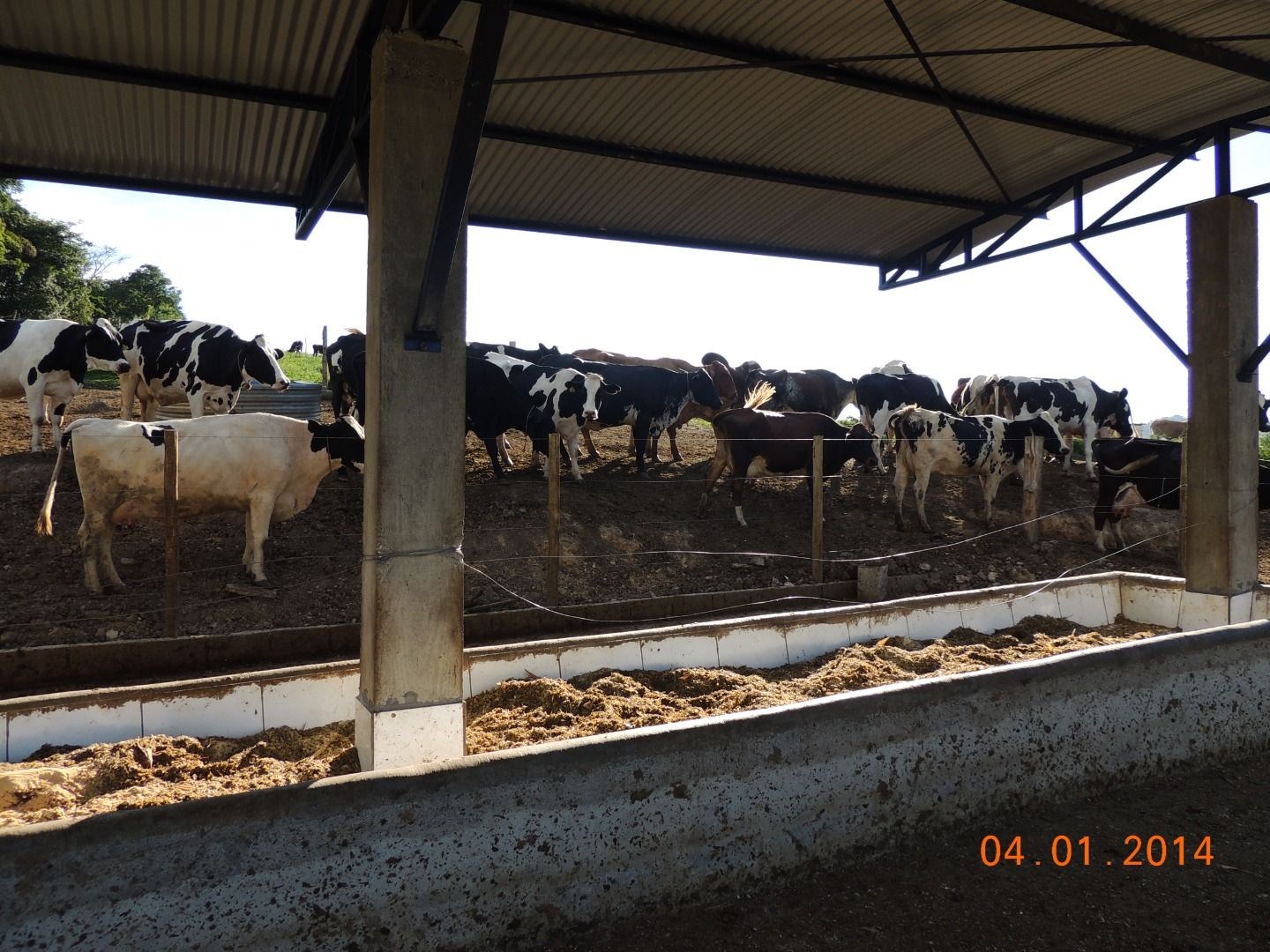 Fazenda, 28 hectares - Foto 45