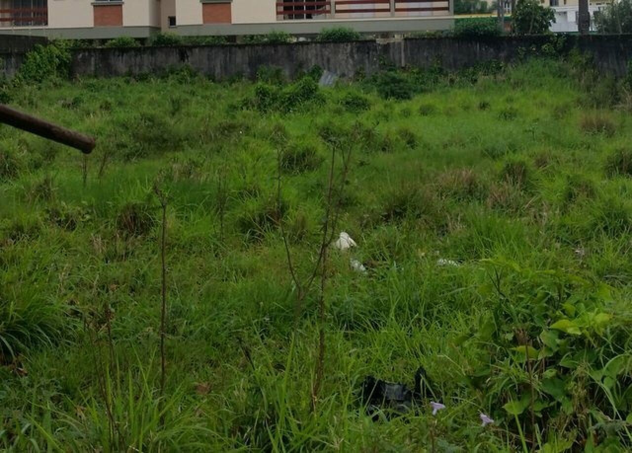 Terreno, 1089 m² - Foto 3