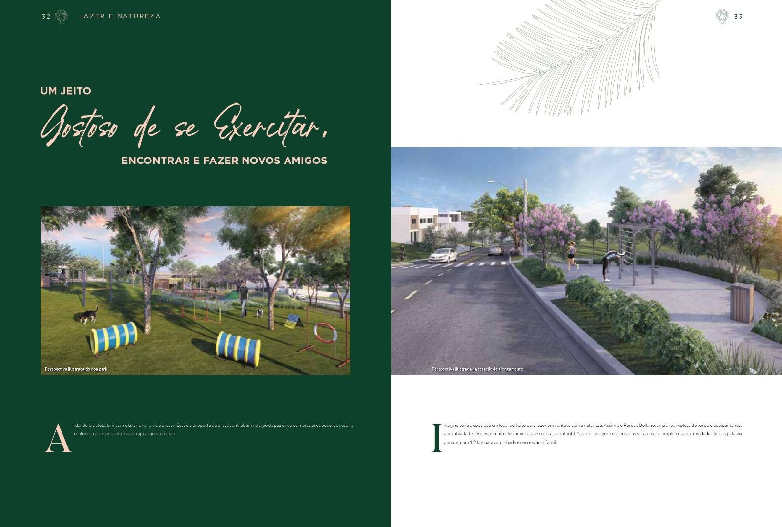 Terreno, 250 m² - Foto 7