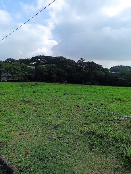 Loteamento e Condomínio, 5195 m² - Foto 9