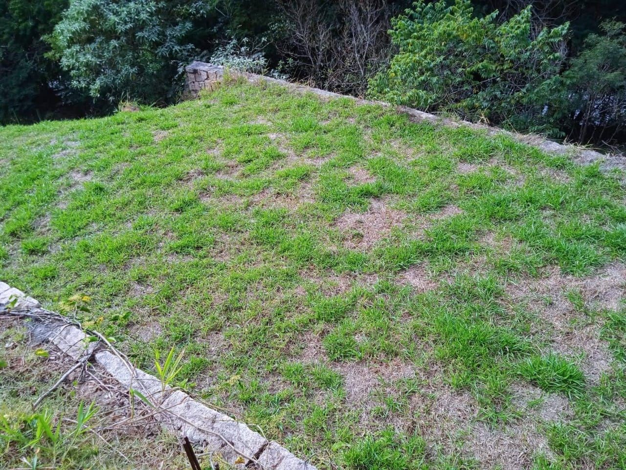Terreno, 1736 m² - Foto 10