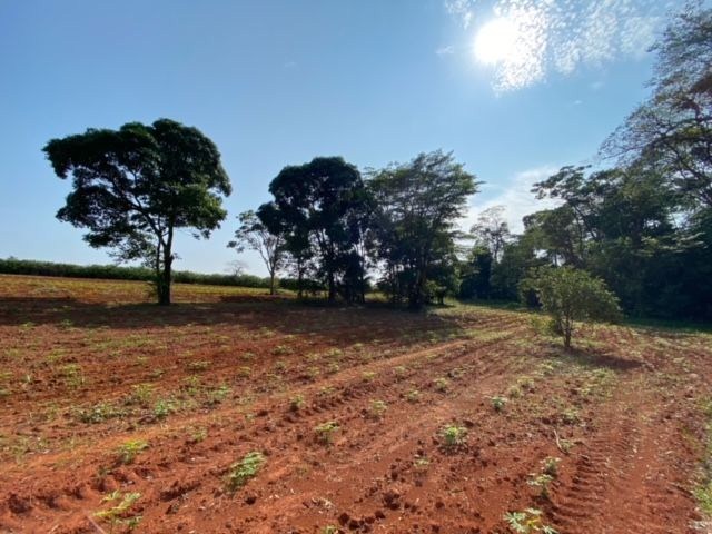 Sítio, 2 quartos, 7 hectares - Foto 32