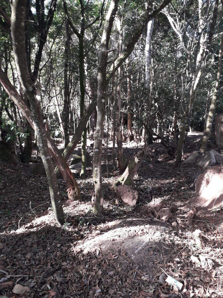 Terreno, 1000 m² - Foto 8