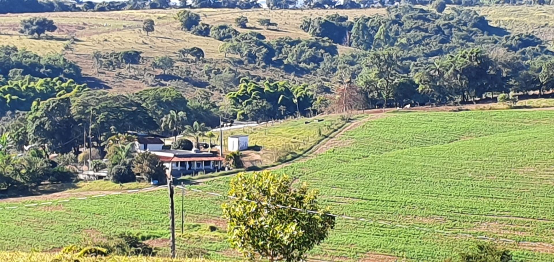 Fazenda, 28 hectares - Foto 77