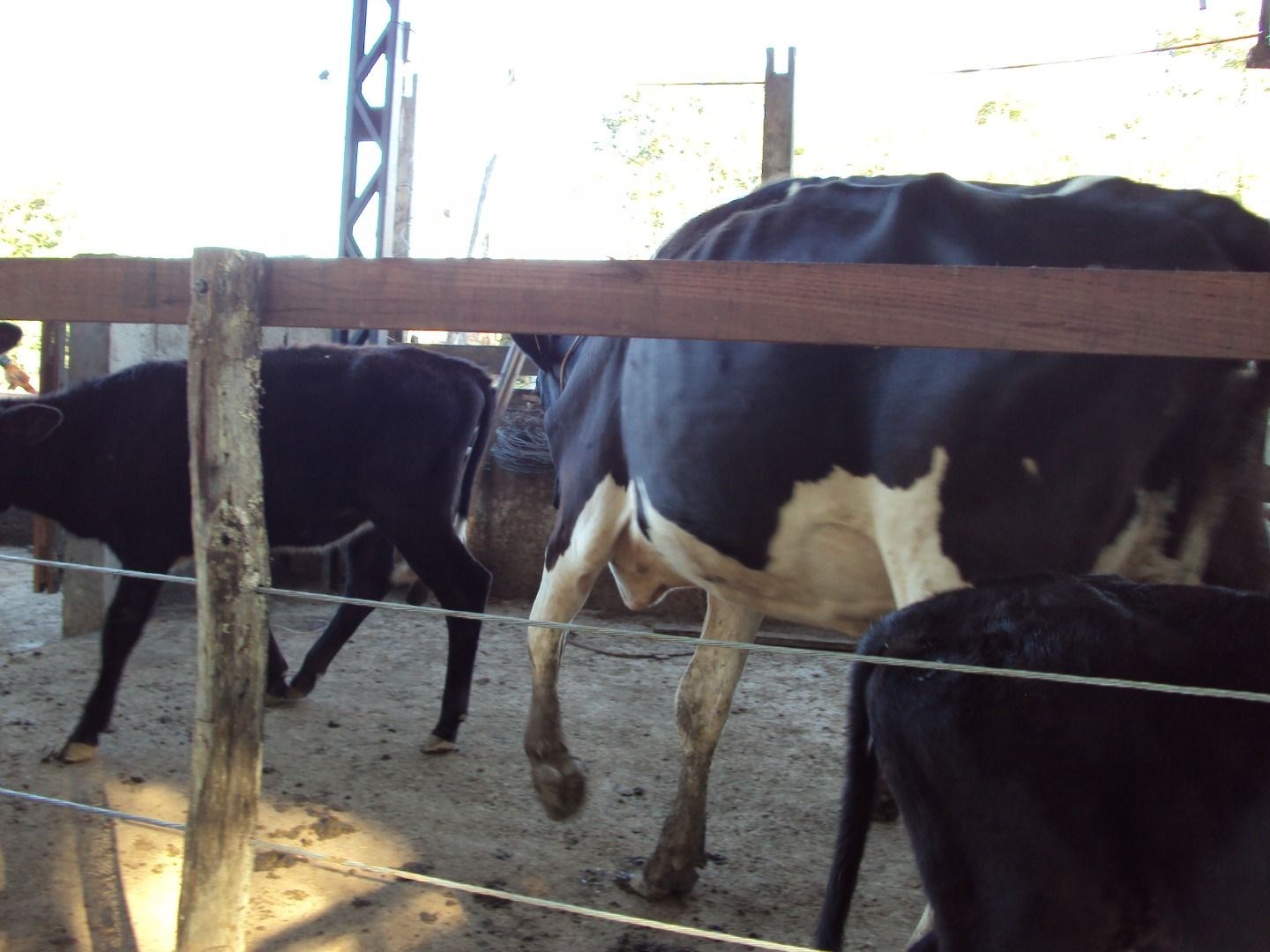 Fazenda, 28 hectares - Foto 62