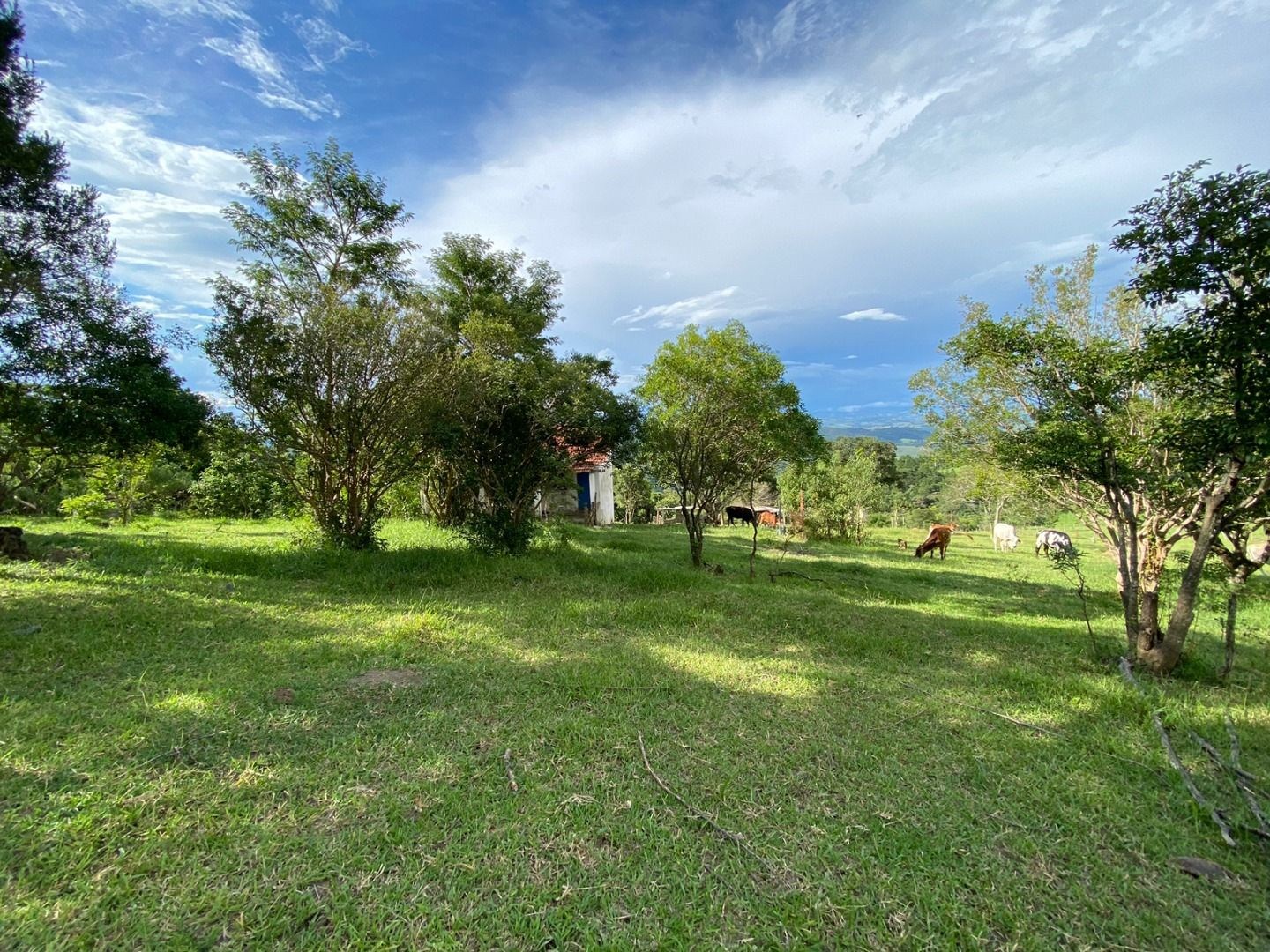 Fazenda, 3 hectares - Foto 9