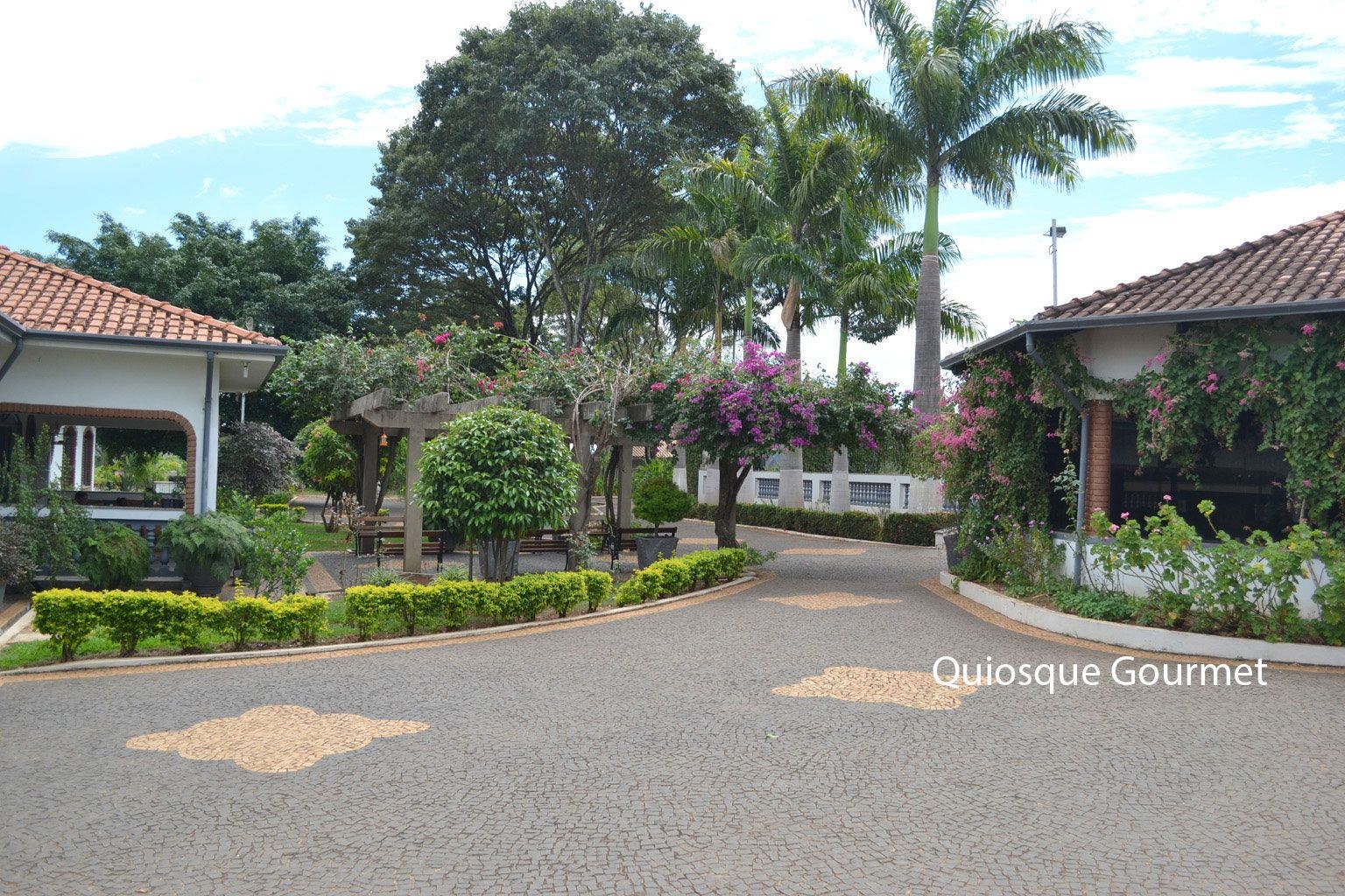 Sítio, 4 quartos, 6000 m² - Foto 3
