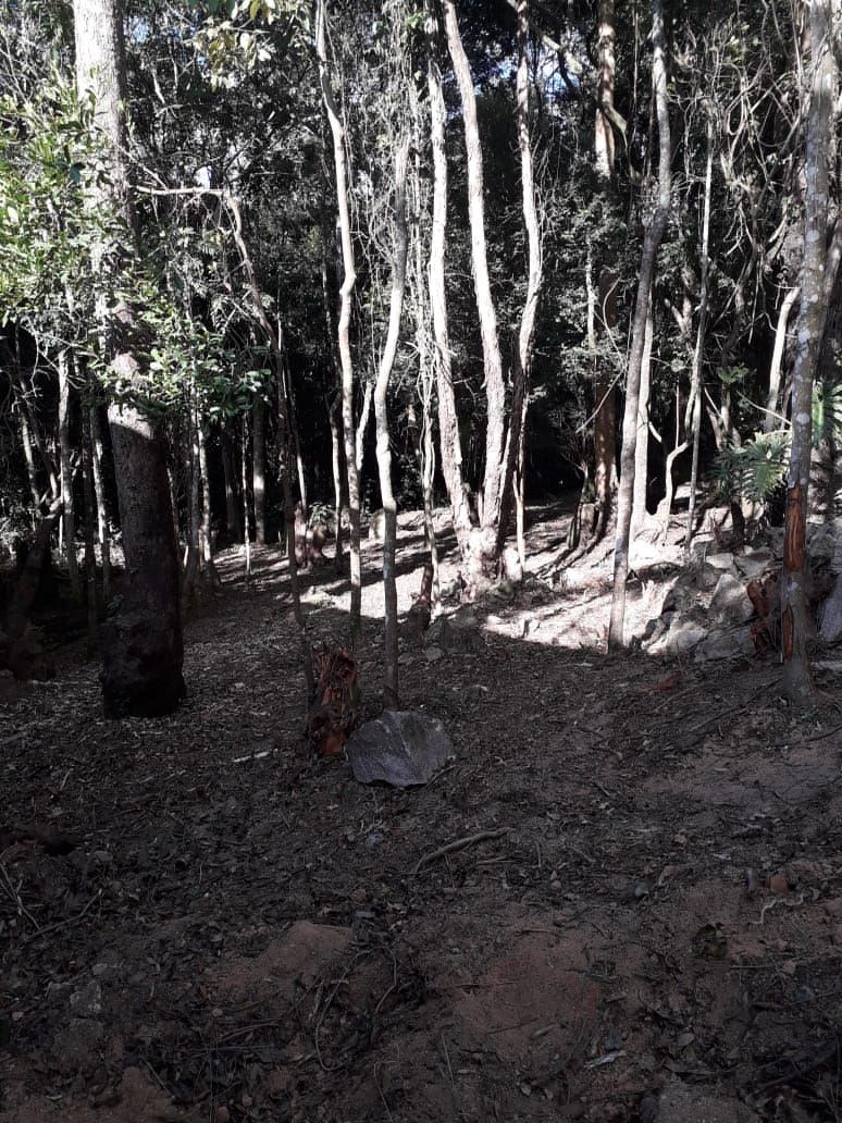 Terreno, 1000 m² - Foto 5