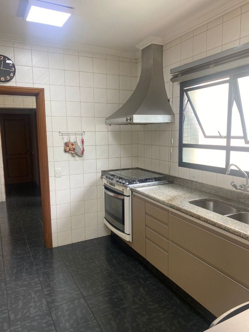 Apartamento, 4 quartos, 306 m² - Foto 16