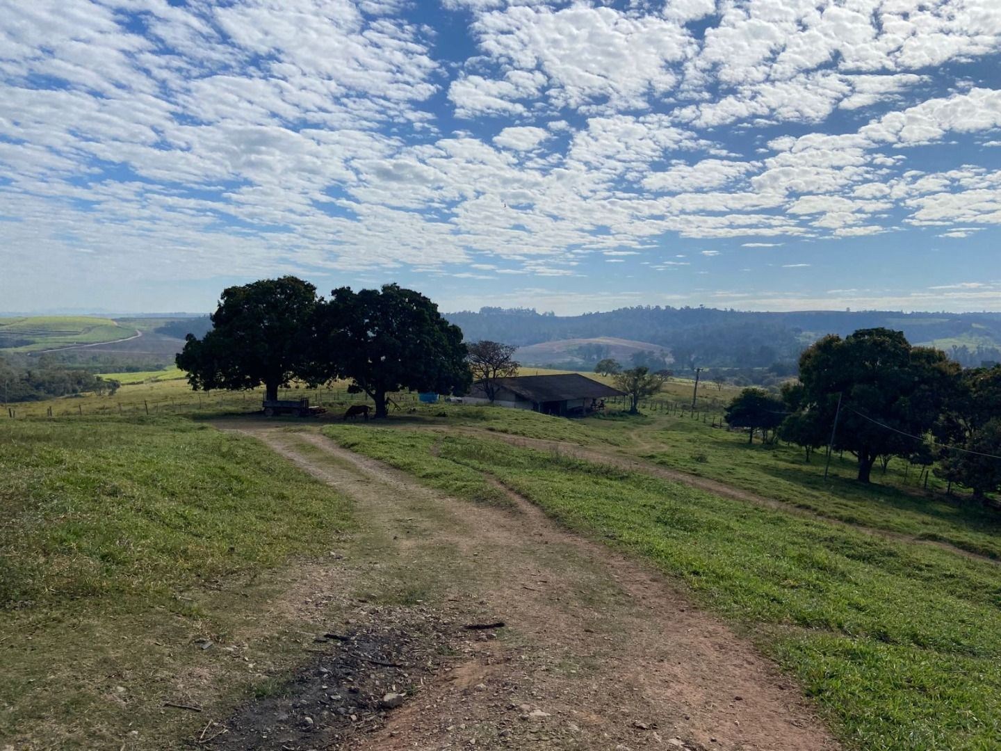 Fazenda, 404 hectares - Foto 4
