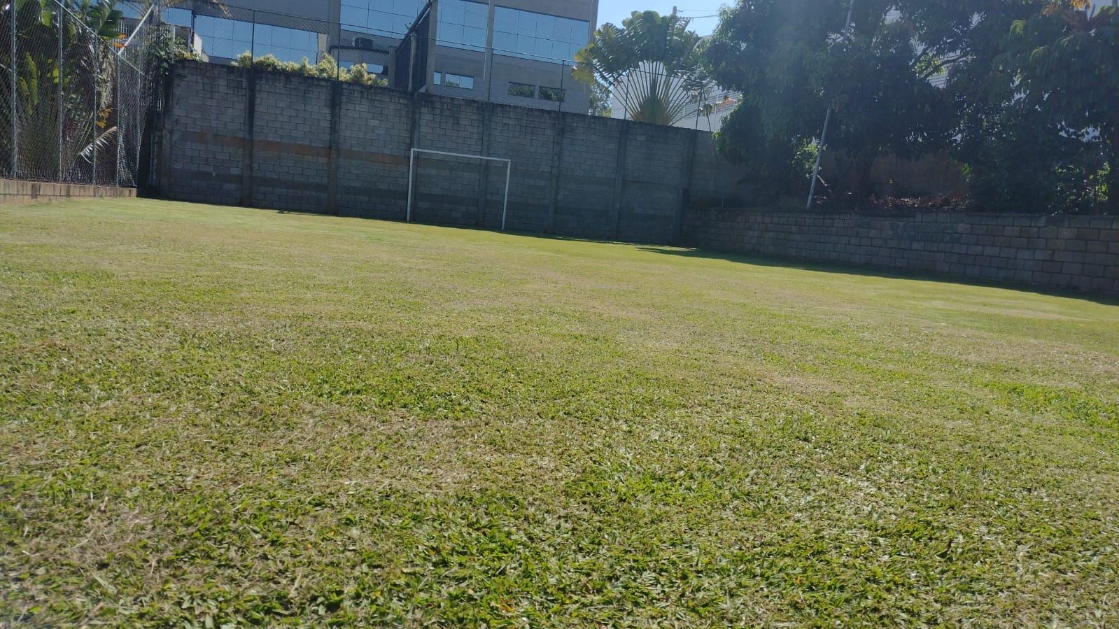 Sítio, 1 quarto, 3360 m² - Foto 7