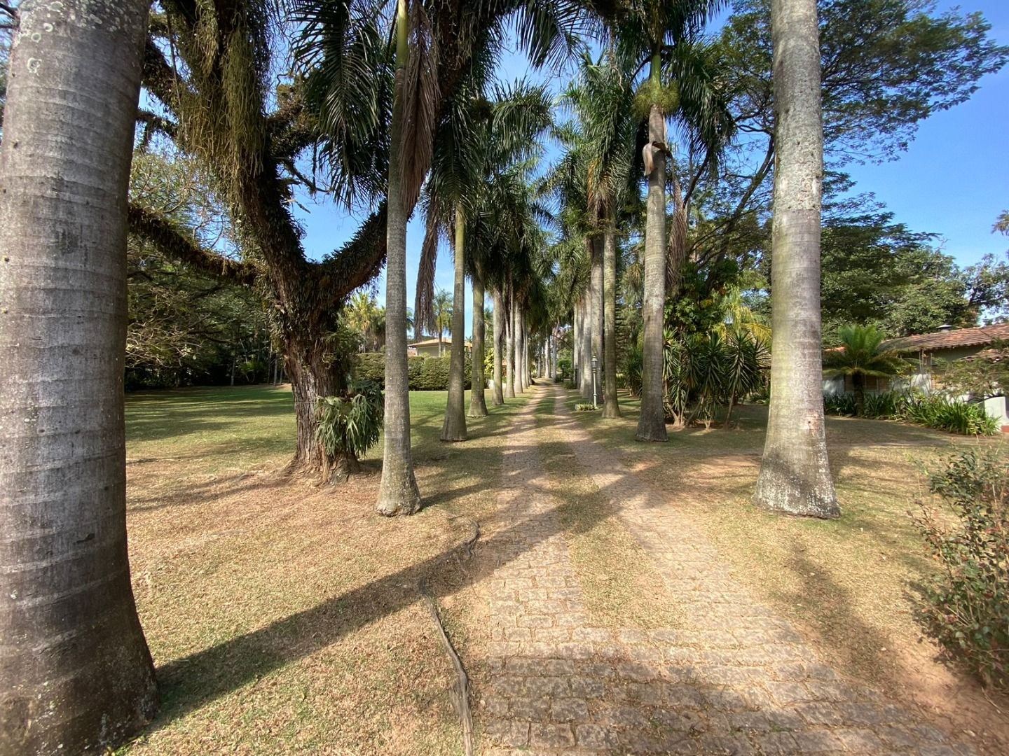 Sítio, 4 quartos, 1 hectares - Foto 2