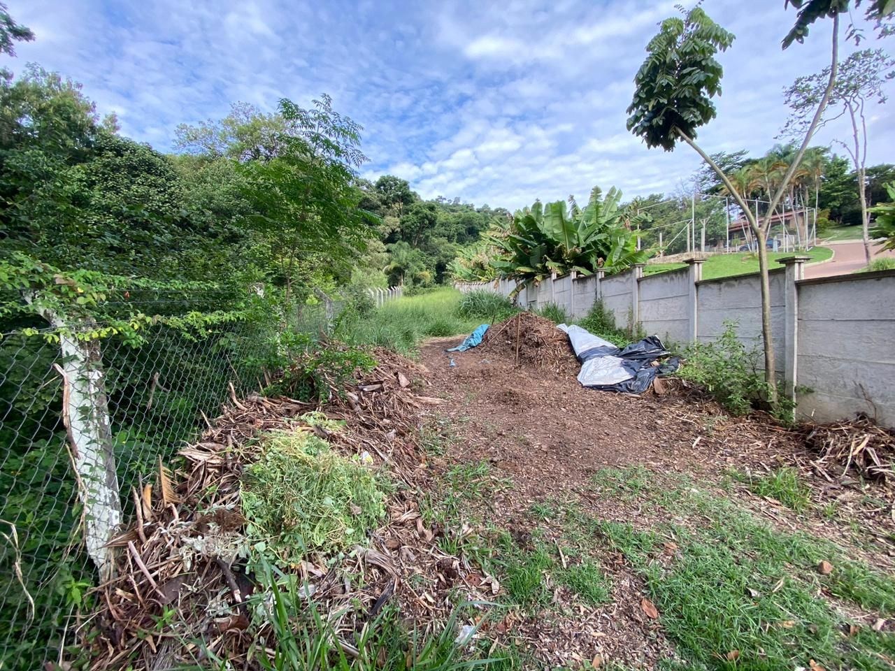 Terreno, 7 hectares - Foto 4