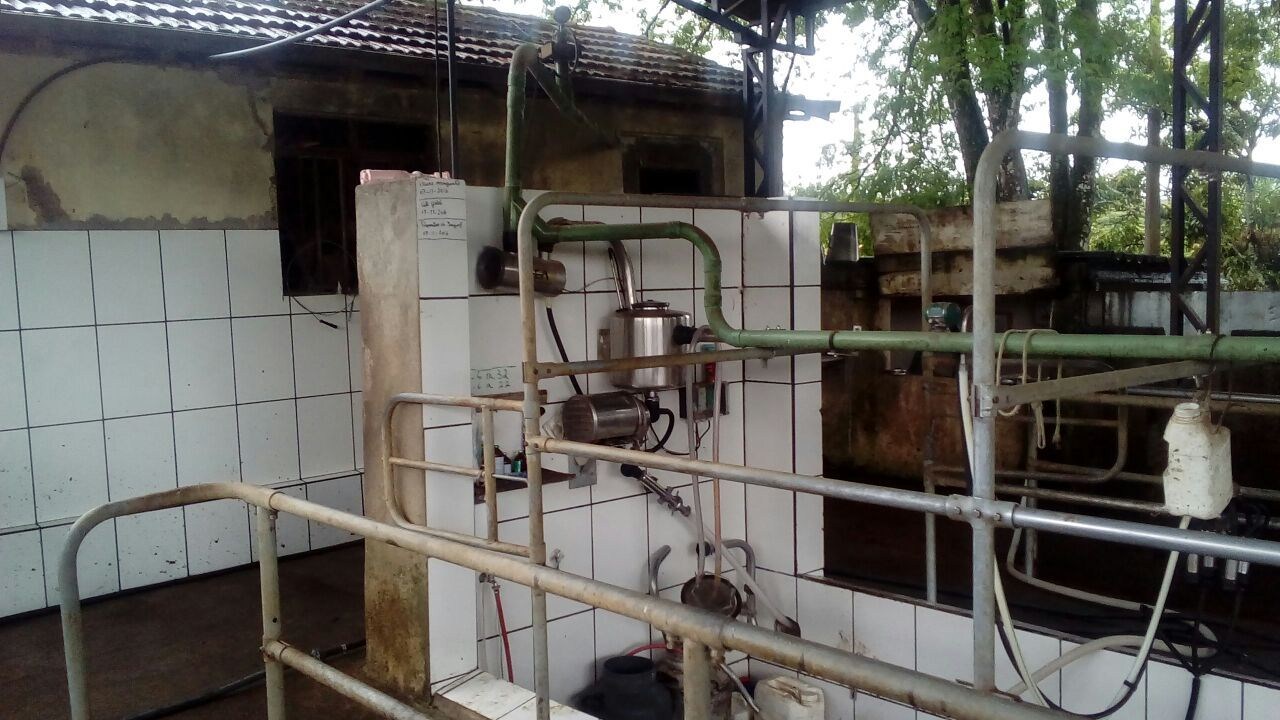 Fazenda, 28 hectares - Foto 85