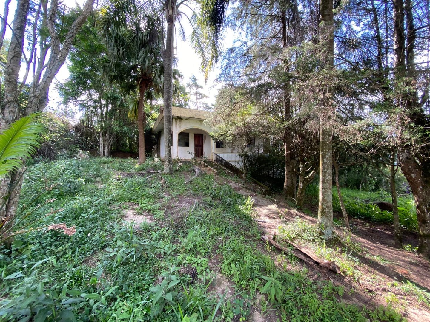 Fazenda, 3 hectares - Foto 8
