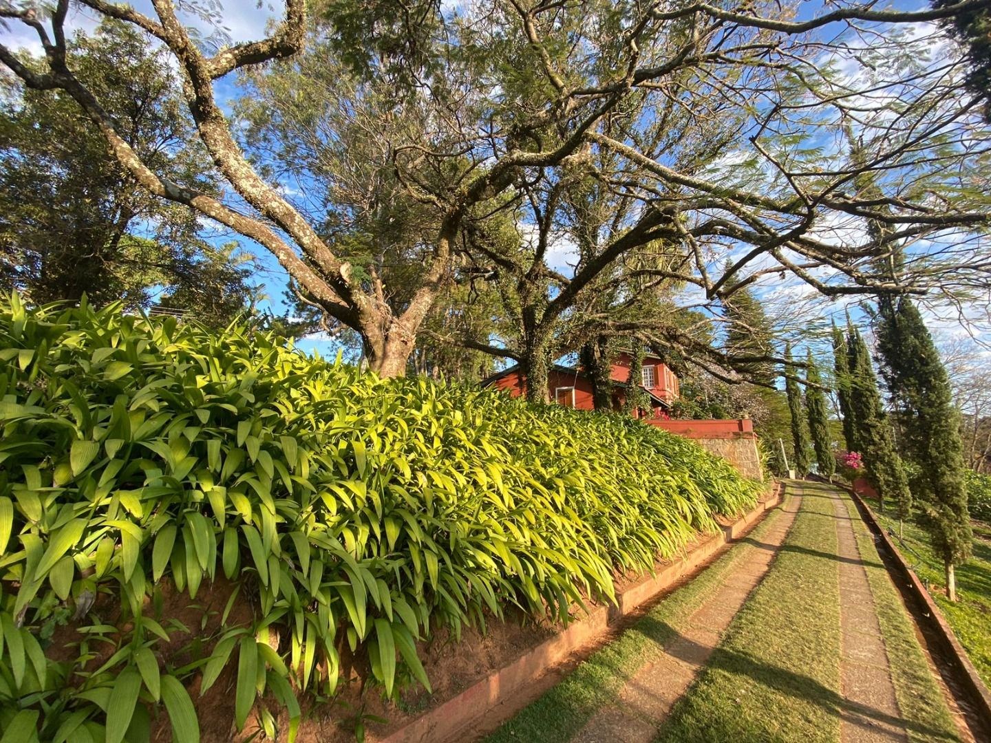 Sítio, 6 quartos, 2 hectares - Foto 40