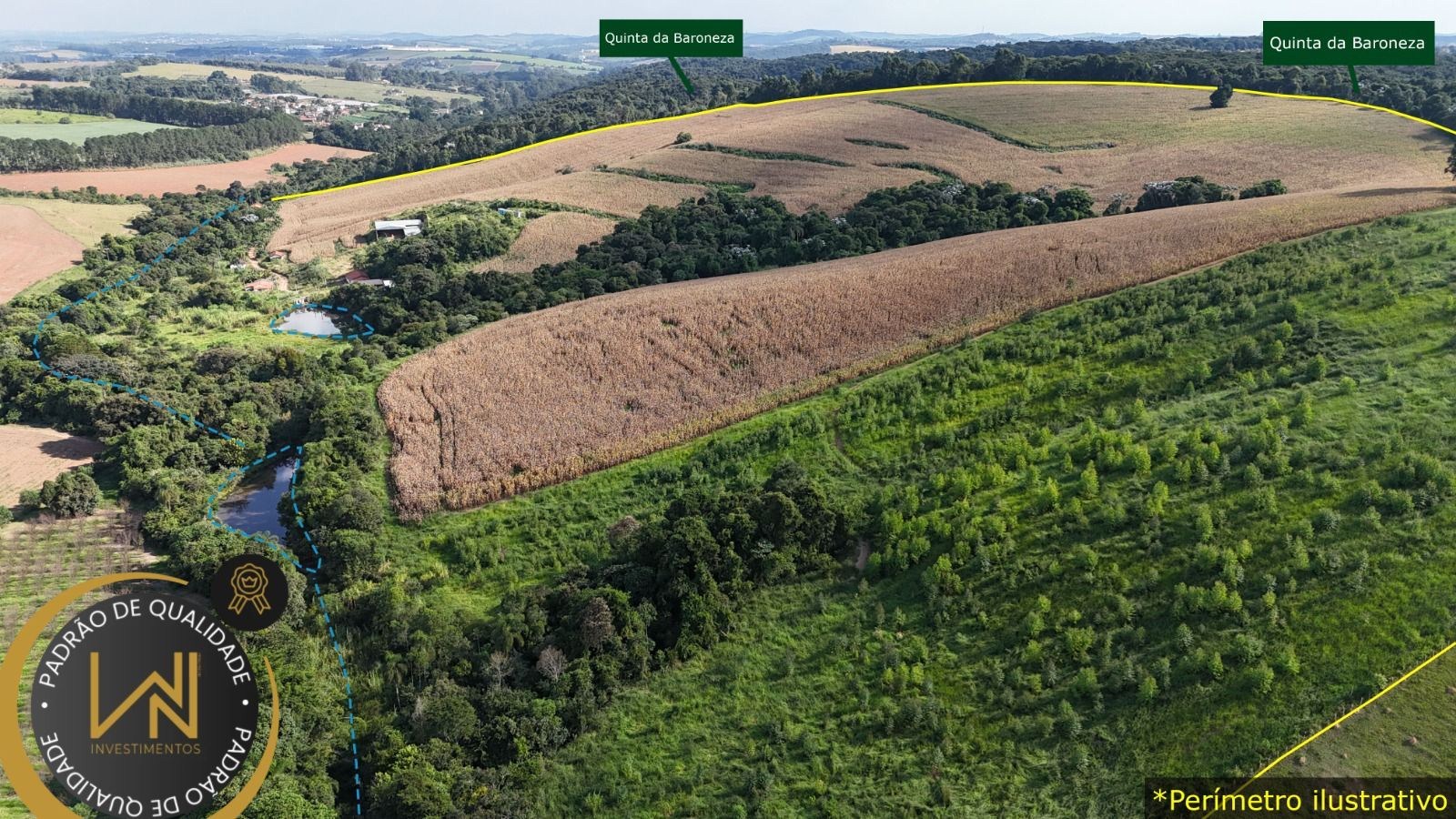 Terreno, 38 hectares - Foto 4
