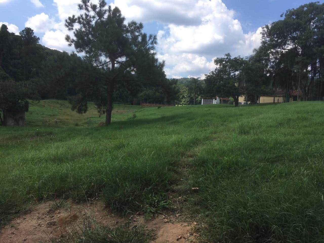 Fazenda, 7 hectares - Foto 51