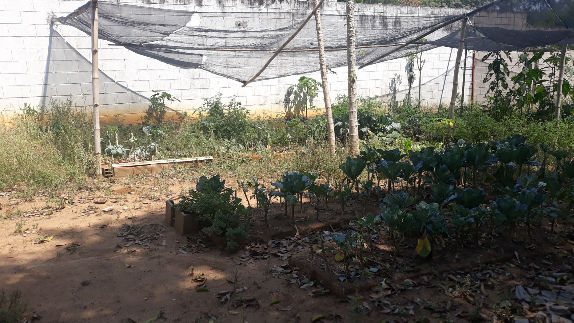 Loteamento e Condomínio, 1 hectares - Foto 60