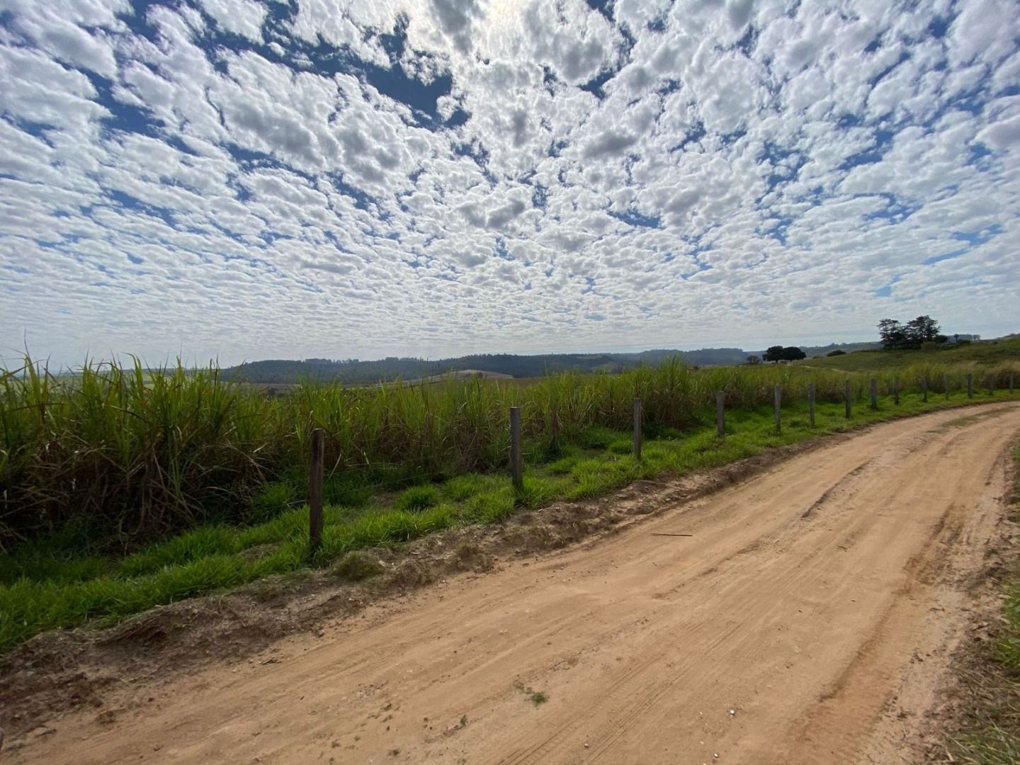 Fazenda, 404 hectares - Foto 28