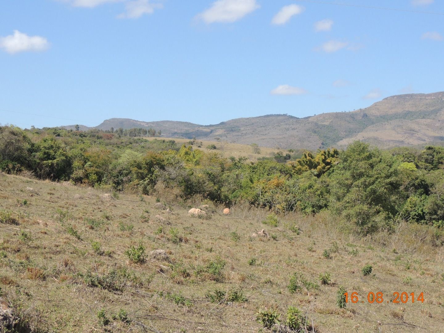 Fazenda, 28 hectares - Foto 8
