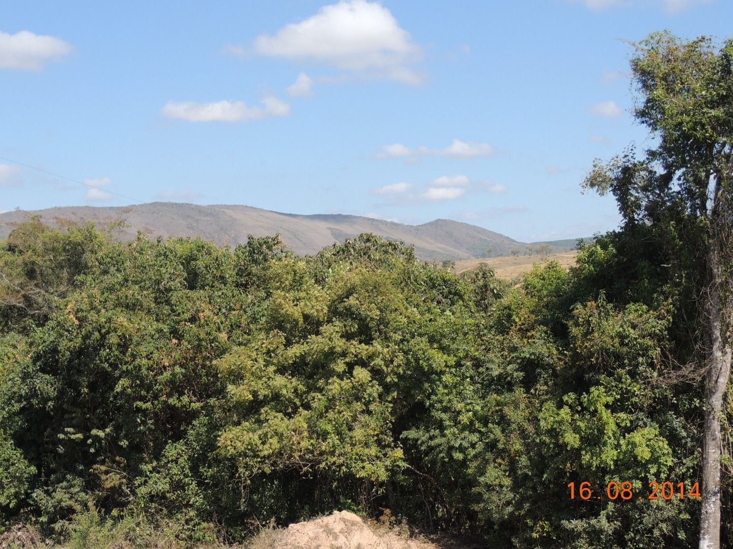 Fazenda, 28 hectares - Foto 11