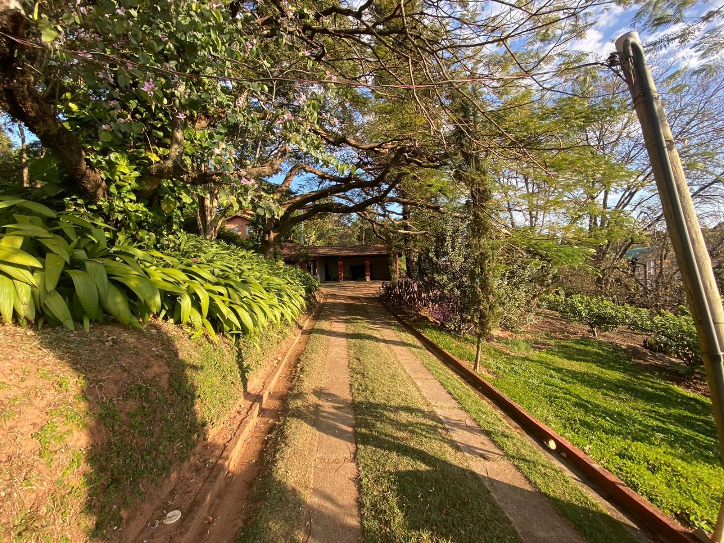 Sítio, 6 quartos, 2 hectares - Foto 38