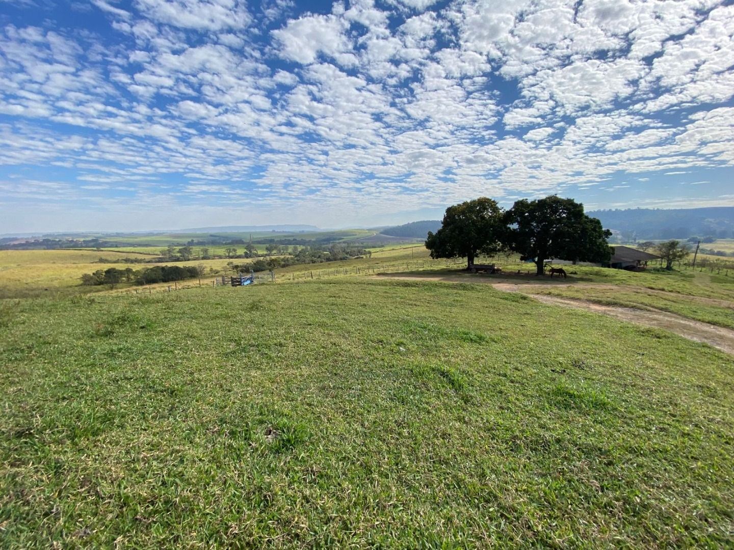 Fazenda, 404 hectares - Foto 7