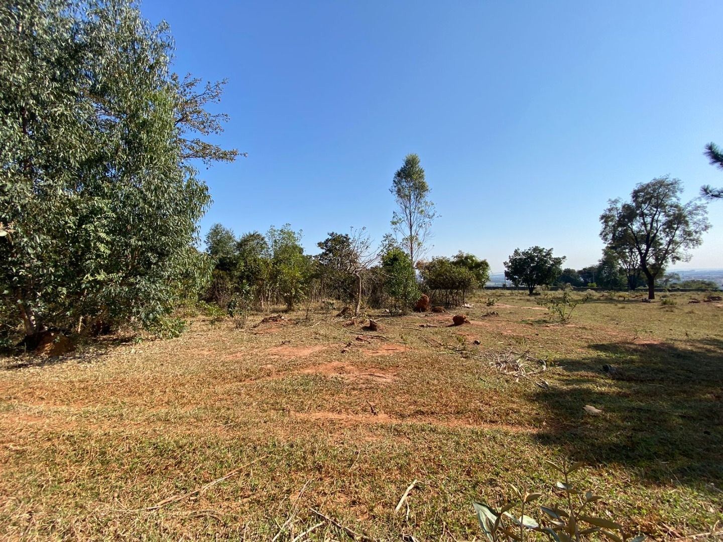 Terreno, 15 hectares - Foto 1