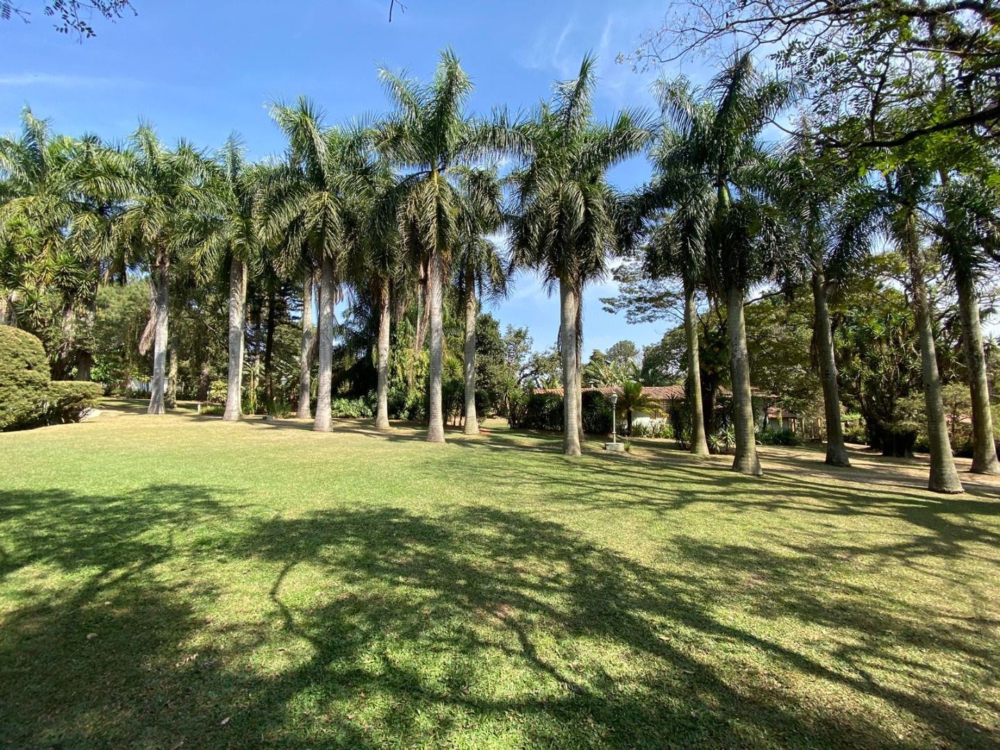 Sítio, 4 quartos, 1 hectares - Foto 6